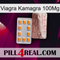 Viagra Kamagra 100Mg new13